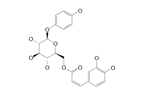 DUNALIANOSIDE-A;PARA-HYDROXYPHENYL-6'-O-CIS-CAFFEOYL-BETA-D-GLUCOPYRANOSIDE
