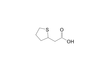 2-(2-Thiolanyl)acetic acid