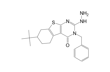 3-benzyl-7-tert-butyl-2-hydrazino-5,6,7,8-tetrahydro[1]benzothieno[2,3-d]pyrimidin-4(3H)-one