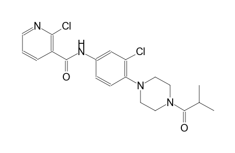 2-chloro-N-[3-chloro-4-(4-isobutyryl-1-piperazinyl)phenyl]nicotinamide