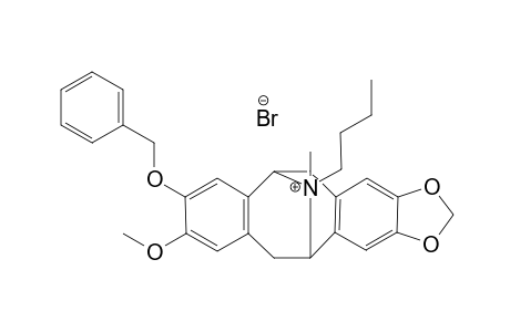 9-O-Benzyl-N-butylcaryachine N-methobromide