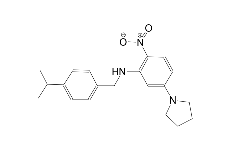benzenemethanamine, 4-(1-methylethyl)-N-[2-nitro-5-(1-pyrrolidinyl)phenyl]-