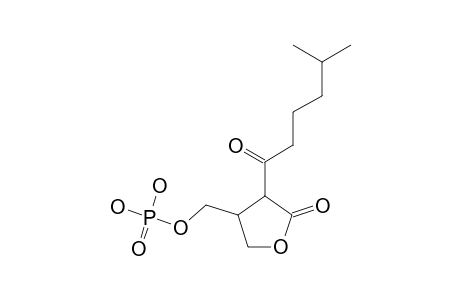 4-(5'-METHYLHEXANOYL)-5-OXOTETRAHYDROFURAN-3-YL-METHYL-PHOSPHATE