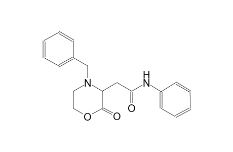 3-morpholineacetamide, 2-oxo-N-phenyl-4-(phenylmethyl)-
