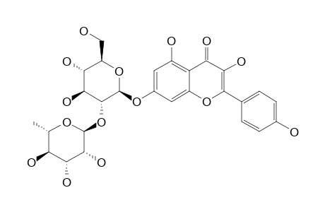 KAEMPFEROL-3-O-NEOHESPERIDOSIDE