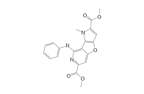 DIMETHYL-1-METHYL-8-PHENLAMINOPYRROLO-[2',3':4,5]-FURO-[3,2-C]-PYRIDINE-2,6-DICARBOXYLATE