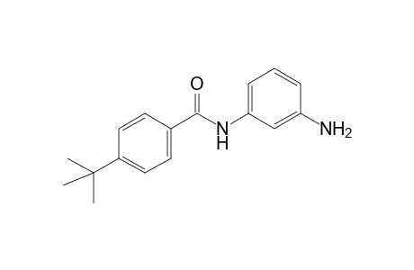 Benzamide, N-(3-aminophenyl)-4-(1,1-dimethylethyl)-