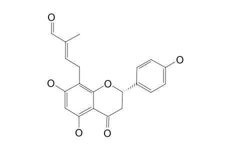 (E)-4-[5,7-DIHYDROXY-2-(4-HYDROXYPHENYL)-4-OXO-3,4-DIHYDRO-2H-CHROMEN-8-YL]-2-METHYL-2-BUTENAL