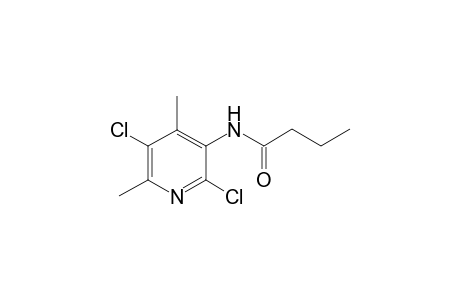 N-(2,5-Dichloro-4,6-dimethyl-3-pyridinyl)butanamide