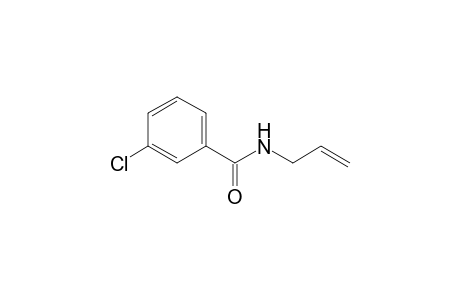 3-Chloranyl-N-prop-2-enyl-benzamide