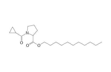 L-Proline, N-(cyclopropylcarbonyl)-, undecyl ester