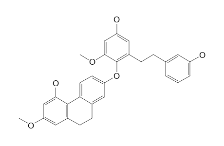 PHOYUNNANIN-D;7-[2-(3-HYDROXYPHENETHYL)-4-HYDROXY-6-METHOXYPHENOXY]-4-HYDROXY-2-METHOXY-9,10-DIHYDROPHENANTHRENE