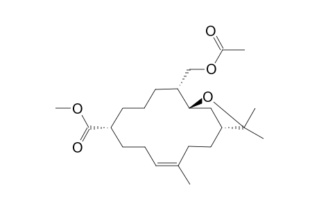 8-(Methoxycarbonyl)-4-(acetoxymethyl)-12,15,15-trimethyl-16-oxa-bicyclo[2.11.1]hexadec-111-ene