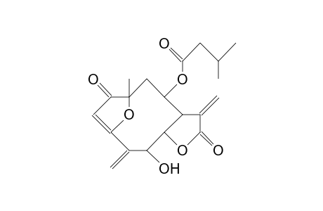 8-O-(3-Methyl-butyryl)-budlein A 5,15-allyl-isomer