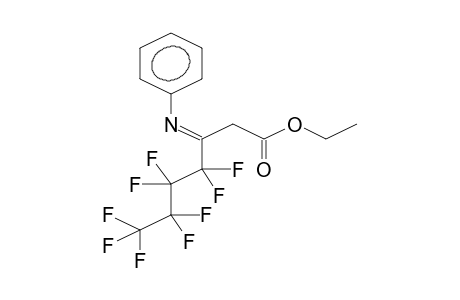ETHYL (E)-3-PHENYLIMINO-3-PERFLUOROBUTYLPROPANOATE