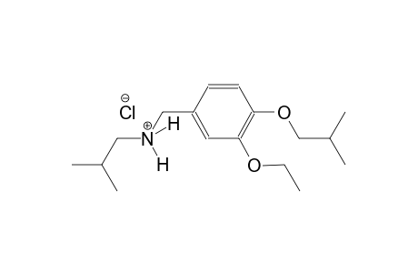 N-(3-ethoxy-4-isobutoxybenzyl)-2-methyl-1-propanaminium chloride