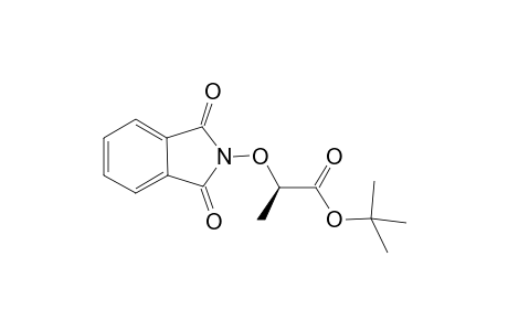 (2R)-2-phthalimidooxypropionic acid tert-butyl ester