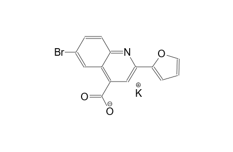 potassium 6-bromo-2-(2-furyl)-4-quinolinecarboxylate