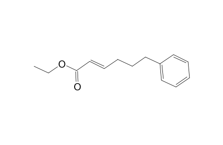 2-Hexenoic acid, 6-phenyl-, ethyl ester