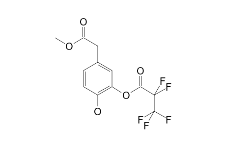 Dihydroxyphenylacetic acid MEPFP