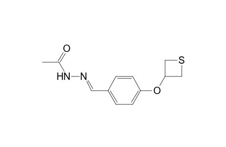 Acethydrazide, N2-[4-(thiitan-3-yloxy)benzylideno]-