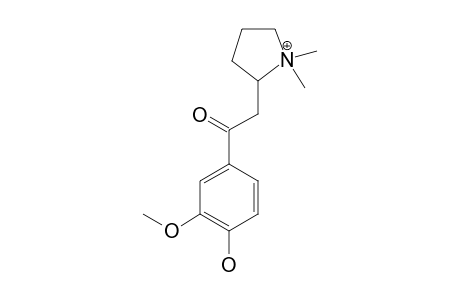1-(4-HYDROXY-3-METHOXYPHENYL)-2-(N,N-DIMETHYLPYRRIDINIUM-2-YL)-ETHANONE