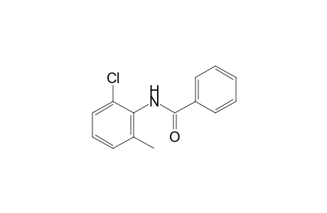 6'-chloro-o-benzotoluidide