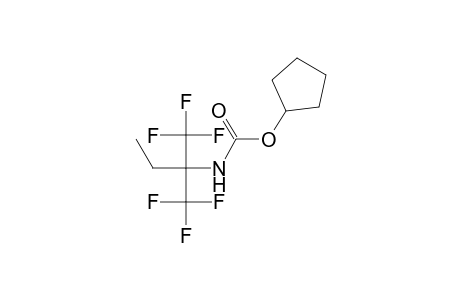 cyclopentyl 1,1-bis(trifluoromethyl)propylcarbamate