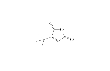5-Methylene-3-methyl-4-(t-butyl)-2(5H)-furanone