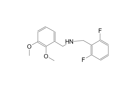 (2,6-difluorophenyl)-N-(2,3-dimethoxybenzyl)methanamine