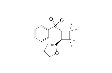 trans-2-(2,2,3,3-Tetramethyl-4-(phenylsulfonyl)cyclobutyl)furan