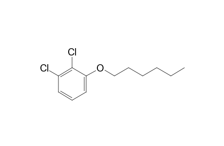 2,3-Dichlorophenyl hexyl ether