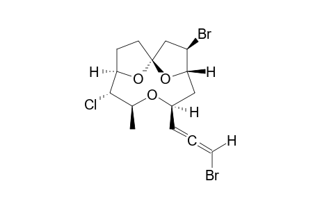 Obtusallene VI