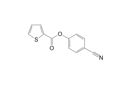 2-Thiophenecarboxylic acid, 4-cyanophenyl ester