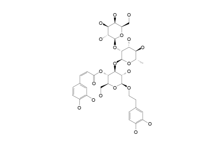 LAMALBOSIDE;2-(3,4-DIHYDROXYPHENYL)-ETHYL-O-BETA-D-GALACTOPYRANOSYL-(1->2)-ALPHA-L-RHAMNOPYRANOSYL-(1->3)-4-O-CIS-CAFFEOYL-BETA-D-GLUCOPYRANOSIDE