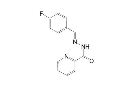 N'-[(E)-(4-fluorophenyl)methylidene]-2-pyridinecarbohydrazide