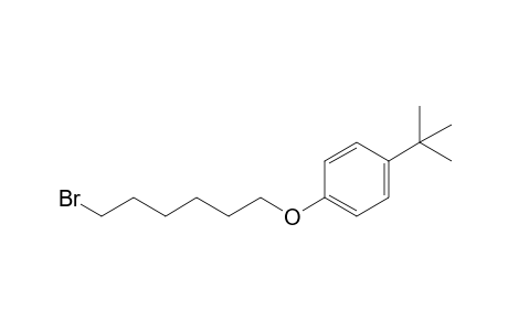 Benzene, 1-[(6-bromohexyl)oxy]-4-(1,1-dimethylethyl)-