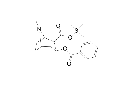 Benzoylecgonine TMS