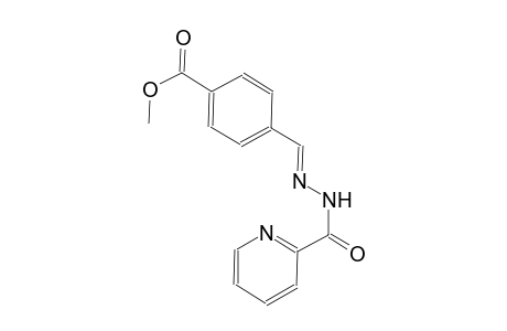 methyl 4-{(E)-[(2-pyridinylcarbonyl)hydrazono]methyl}benzoate