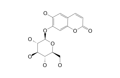 CICHORIIN