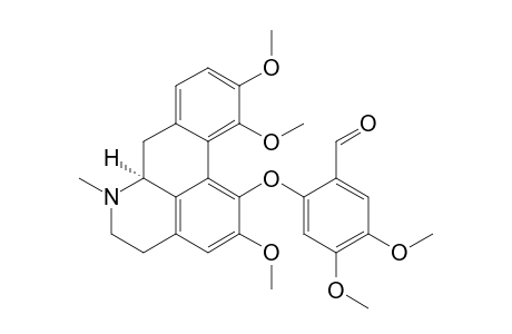 Dehydro-faurine