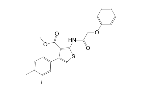 methyl 4-(3,4-dimethylphenyl)-2-[(phenoxyacetyl)amino]-3-thiophenecarboxylate