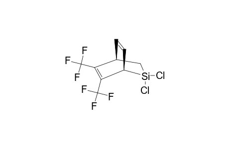 5,6-BIS-(TRIFLUOROMETHYL)-2,2-DICHLORO-2-SILABICYCLO-[2.2.2]-OCTA-5,7-DIENE