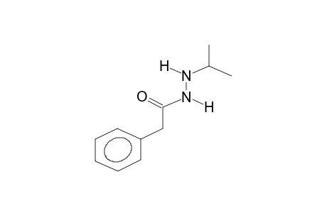 (Z)-1-PHENYLACETYL-2-ISOPROPYLHYDRAZINE