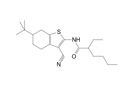 Hexanamide, 2-ethyl-N-(6-tert-butyl-3-cyano-4,5,6,7-tetrahydrobenzothioohen-2-yl)-