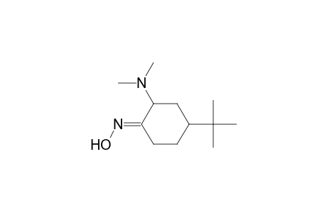 Cyclohexanone, 2-(dimethylamino)-4-(1,1-dimethylethyl)-, oxime
