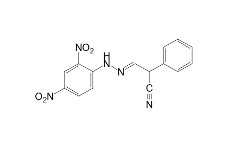 2-phenylmalonaldehydonitrile, (2,4-dinitrophenyl)hydrazone