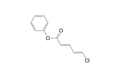 Phenyl 5-Chloro-2,4-dienoate
