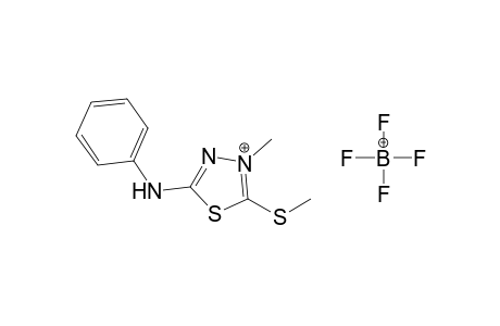 5-Phenylamino-3-methyl-2-methylthio-1,3,4-thiadiazolium tetrafluoroborate