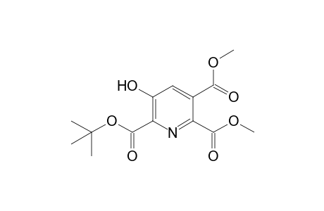 6-tert-Butyl 2,3-Dimethyl 5-(hydroxy)pyridine-2,3,6-triicarboxylate